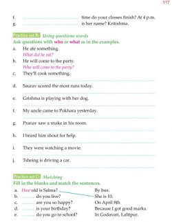 4th Grade Grammar Unit 14 Questions - Question Words and Question Tags 6.jpg